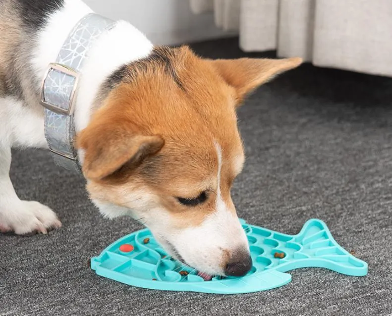 宠物用品 07